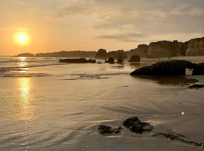 New Stunning Ocean Aprt In 